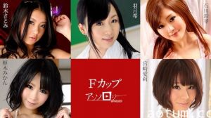 Caribbeancom 031225-001 Fカップアンソ