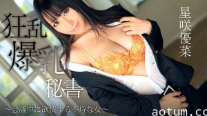 Heyzo-0746 狂乱爆乳秘書～会議中に欲情する不埒な女～