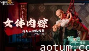 国产AV91CM250女体肉粽小艺的啊!