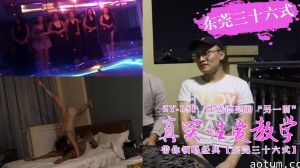 真实性爱教学-带你领略东莞三十六式含打炮情节的。