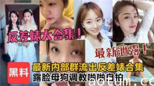 反差婊大合集露脸母狗调教啪啪自拍