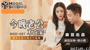 麻豆-今晚老公不在家-陈小雨