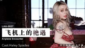 飞机上的艳遇：万米高空厕所激情，陌生美女跪求抽插！