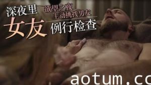 信用检查的诱惑：激情秘密服务